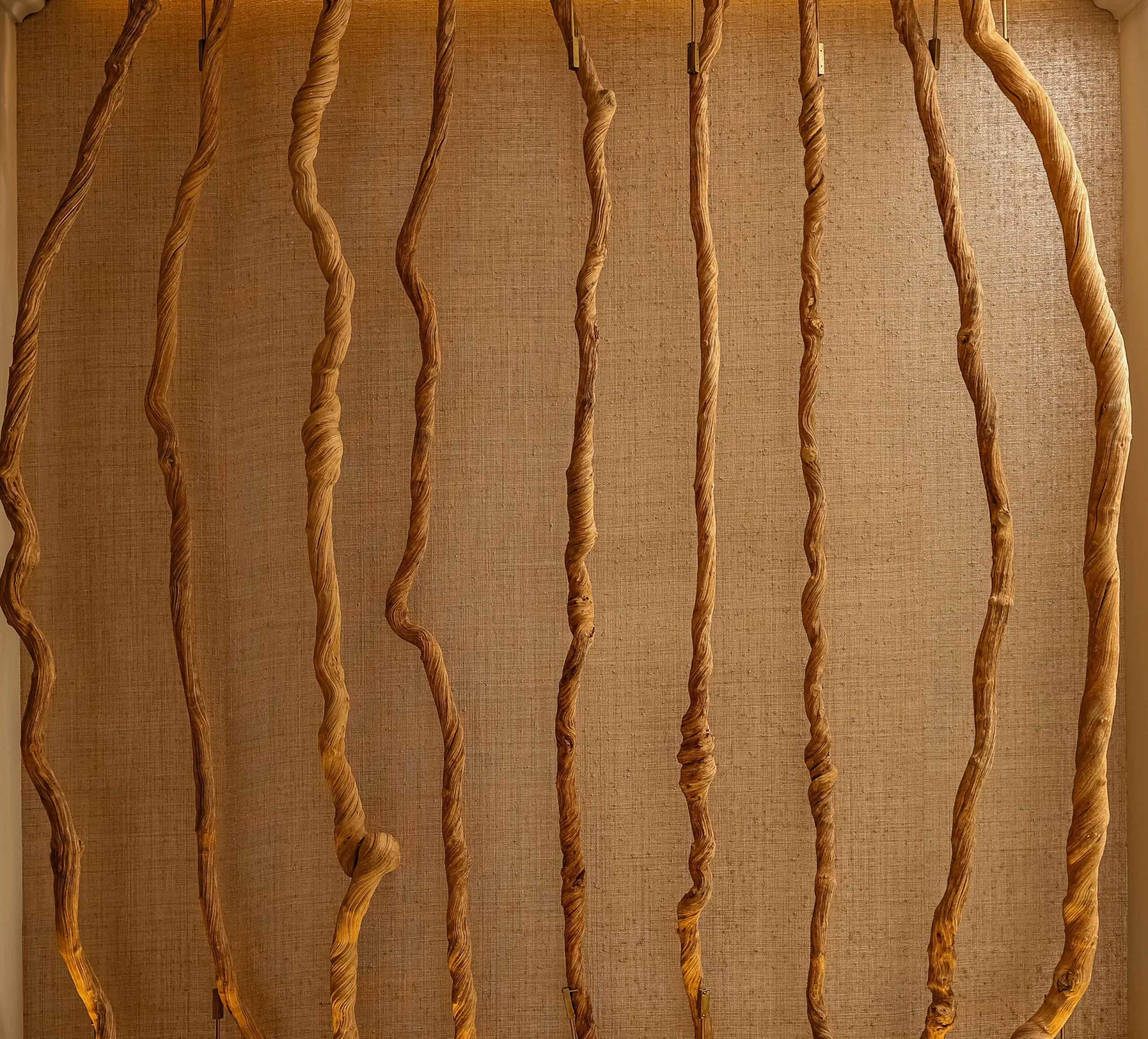 Spring Into Serenity: Product Launch & Pampering Night